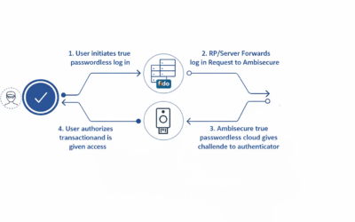 How does Passwordless Authentication Works