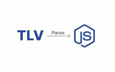 How to Parse TLVs in JavaScript